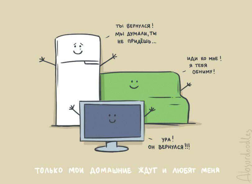 ты вернулся! мы думали, ты не придёшь...
иди ко мне! я тебя обниму!
ура! он вернулся!!!
только мои домашние ждут и любят меня