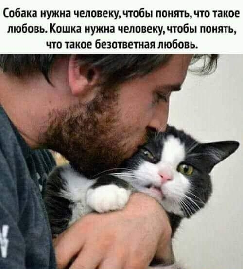 Собака нужна человеку, чтобы понять, что такое любовь. Кошка нужна человеку, чтобы понять, что такое безответвенная любовь.