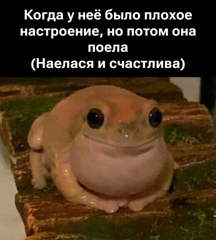 Когда у неё было плохое настроение, но потом она поела (Наелась и счастлива)