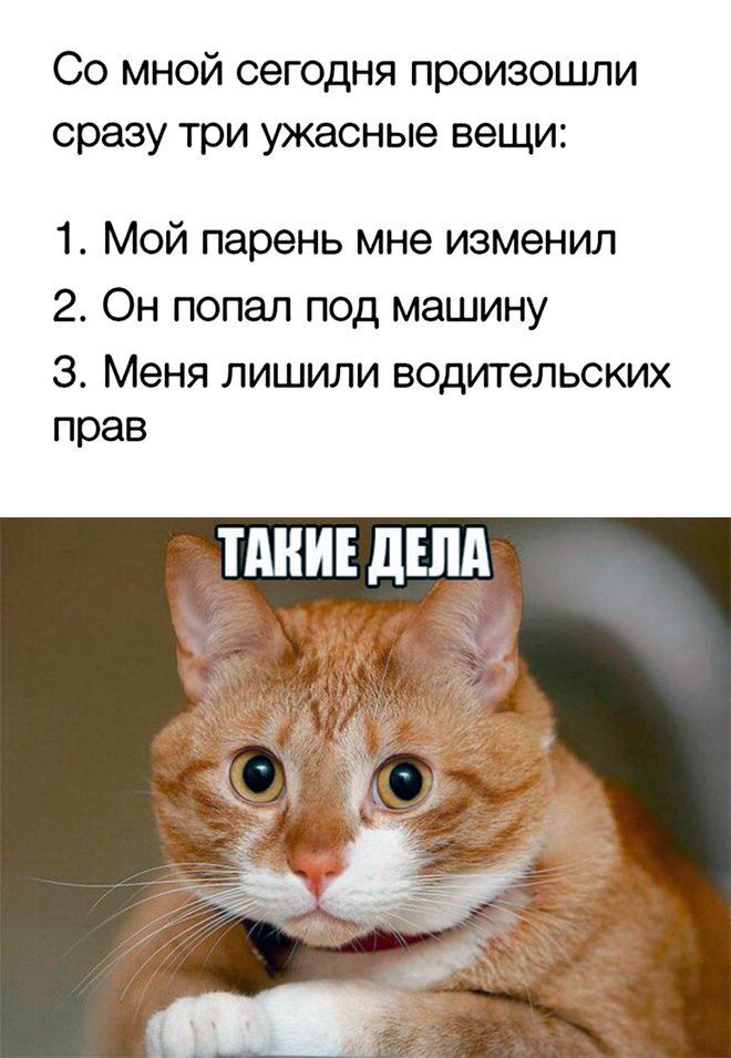 Со мной сегодня произошли сразу три ужасные вещи:
1. Мой парень мне изменил
2. Он попал под машину
3. Меня лишили водительских прав
ТАКИЕ ДЕЛА