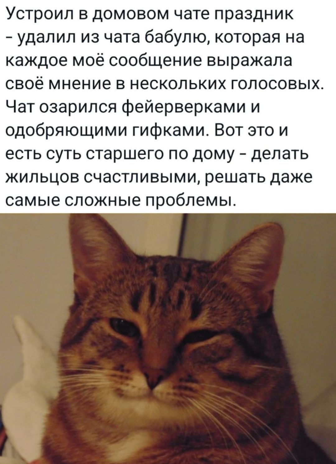 Устроил в домовом чате праздник - удалил из чата бабулю, которая на каждое моё сообщение выражала своё мнение в нескольких голосовых. Чат озарился фейерверками и одобряющими гифками. Вот это и есть суть старшего по дому - делать жильцов счастливыми, решать даже самые сложные проблемы.