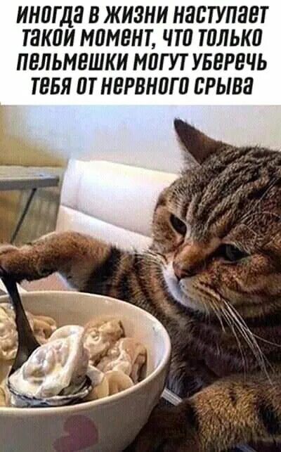 иногда в жизни наступает такой момент, что только пельмешки могут удержать тебя от нервного срыва