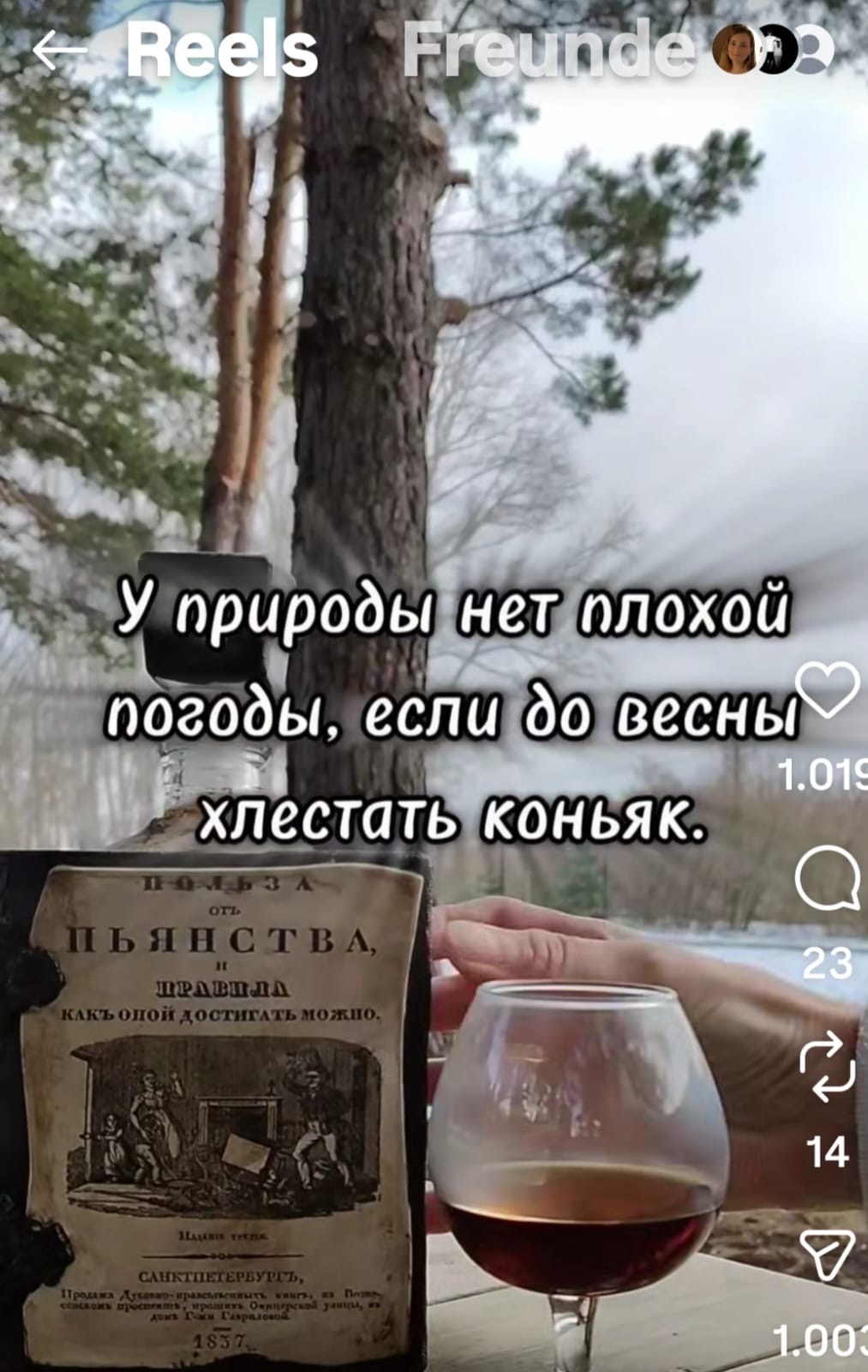 У природы нет плохой погоды, если до весны хлестать коньяк.