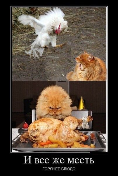 И все же место ГОРЯЧЕЕ блюдо