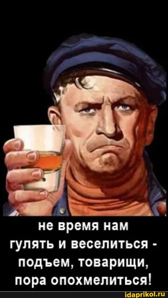 не время нам гулять и веселиться - подъём, товарищи, пора опохмелиться!