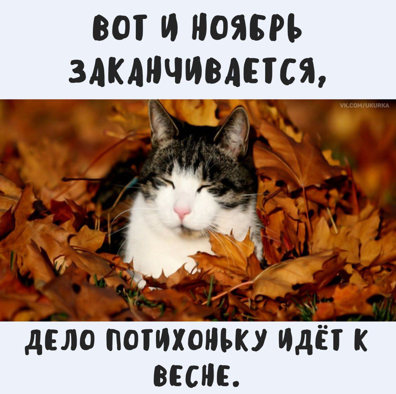 Вот и ноябрь заканчивается, дело потихоньку идёт к весне.