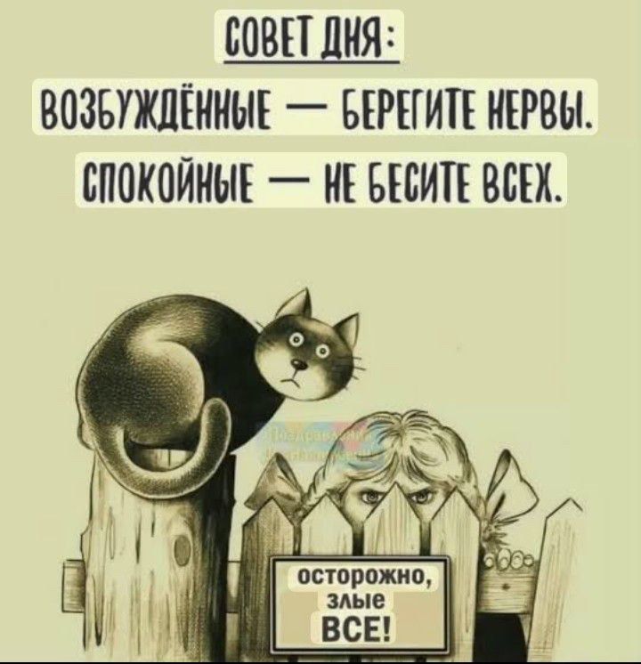 СОВЕТ ДНЯ: 
ВОЗБУЖДЁННЫЕ — БЕРЕГИТЕ НЕРВЫ. 
СПОКОЙНЫЕ — НЕ БЕСИТЕ ВСЕХ.
осторожно, злые ВСЕ!