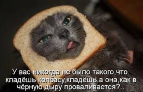 У вас никогда не было такого, что кладёшь колбасу кладёшь, а как в чёрную дыру проваливается?