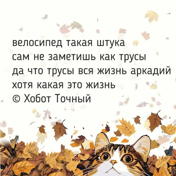 велосипед такая штука сам не заметишь как трусы да что трусы вся жизнь аркадий хотя какая это жизнь © Хоббот Точный