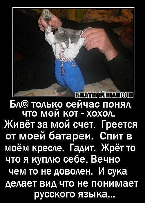 Блатной шансон
Бля только сейчас понял что мой кот - хохол. Живёт за мой счёт. Греется от моей батареи. Спит в моём кресле. Гадит. Жрёт то что я куплю себе. Вечно чем то не доволен. И сука делает вид что не понимает русского языка...