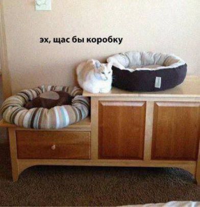 эх, щас бы коробку