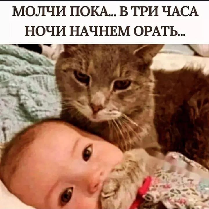 МОЛЧИ ПОКА... В ТРИ ЧАСА НОЧИ НАЧНЕМ ОРАТЬ...