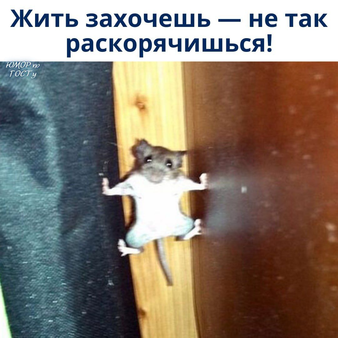 Жить захочешь — не так раскорячишься!