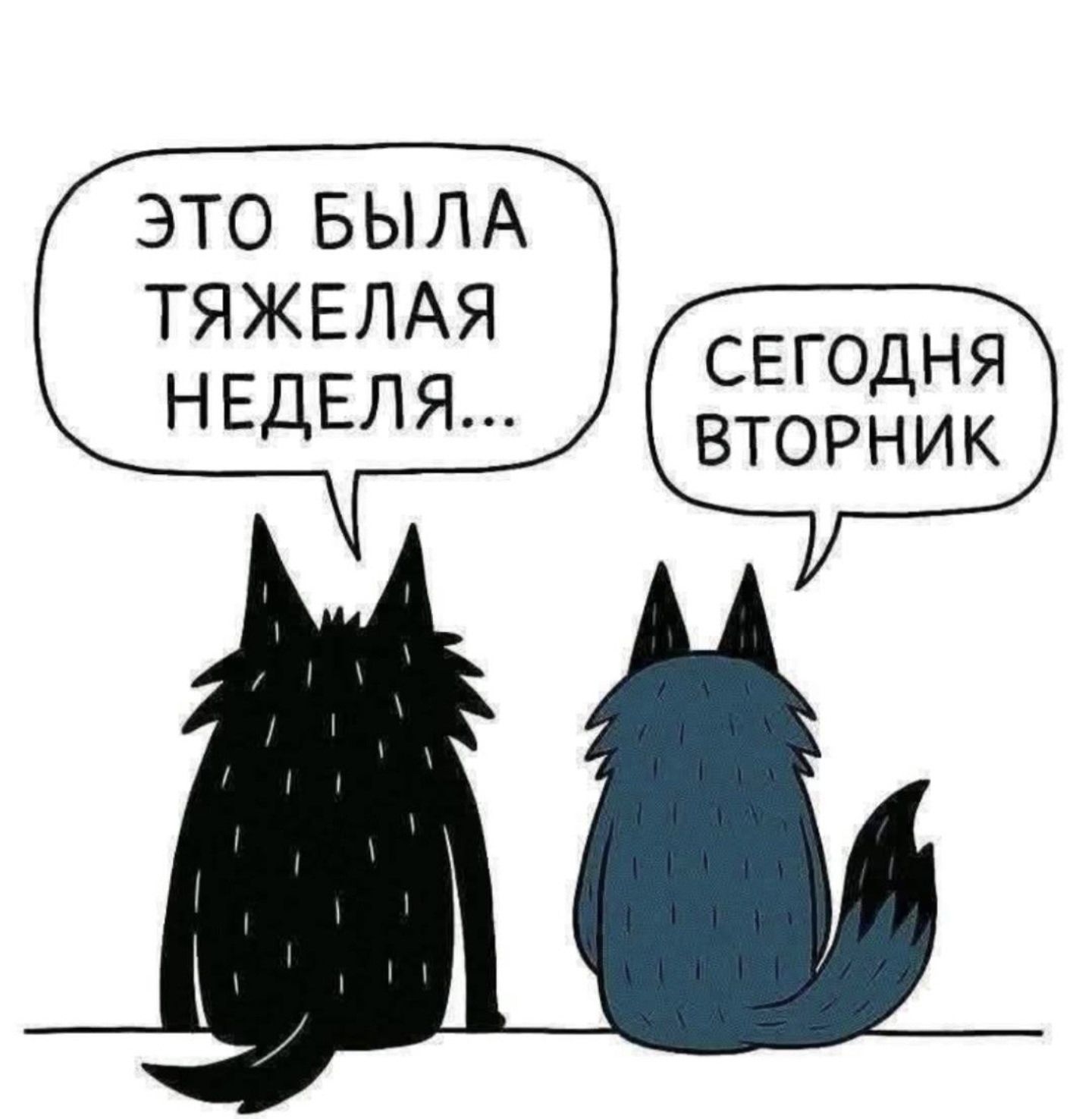 Это была тяжелая неделя... Сегодня вторник