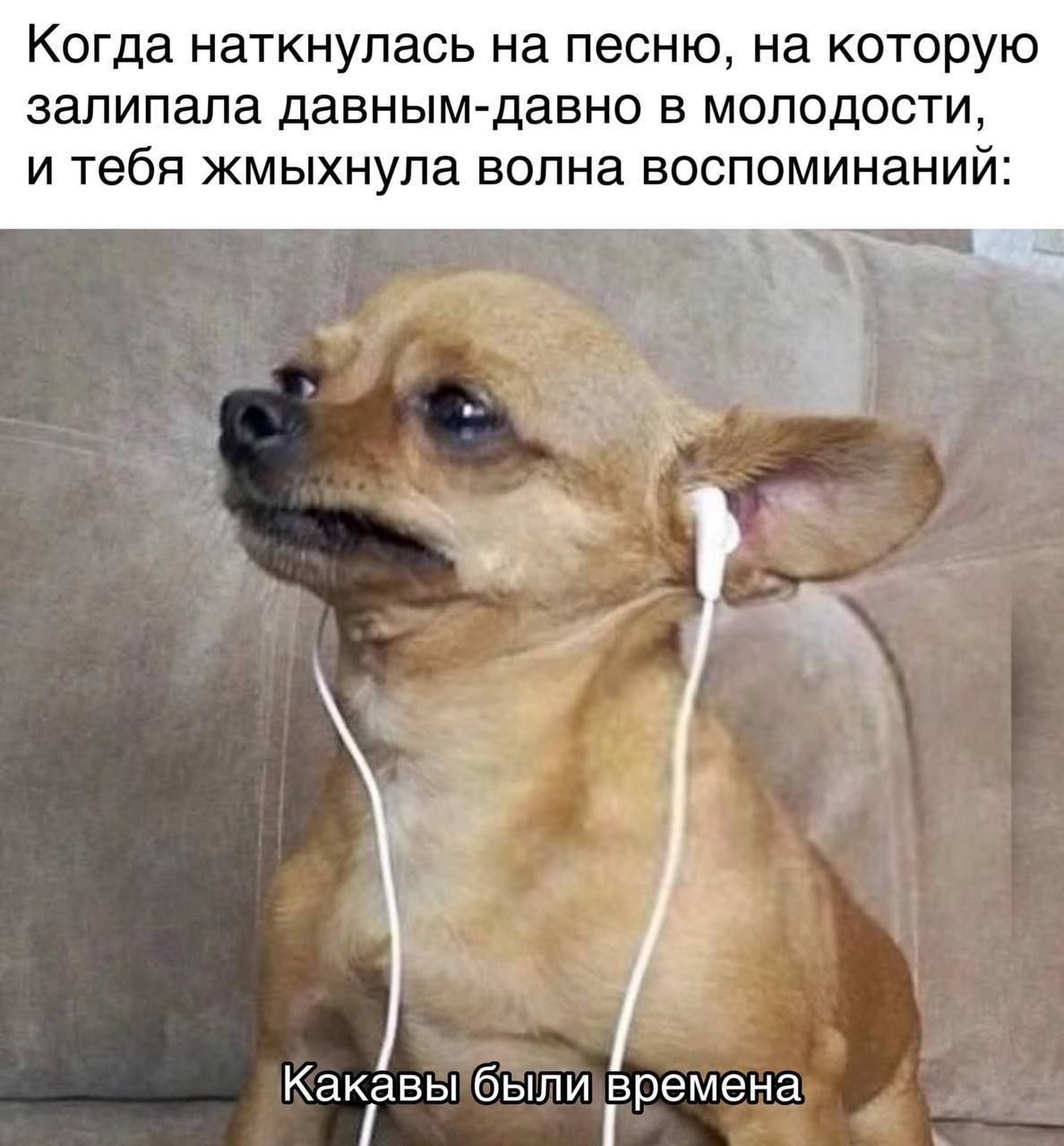 Когда наткнулась на песню, на которую залипала давным-давно в молодости, и тебя жмыхнула волна воспоминаний:
Какавы были времена