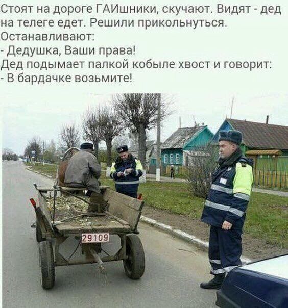 Стоят на дороге ГАИшники, скучают. Видят - дед на телеге едет. Решили прикольнуться.
Останавливают:
- Дедушка, Ваши права!
Дед поднимает палкой кобыле хвост и говорит:
- В бардачке возьмите!