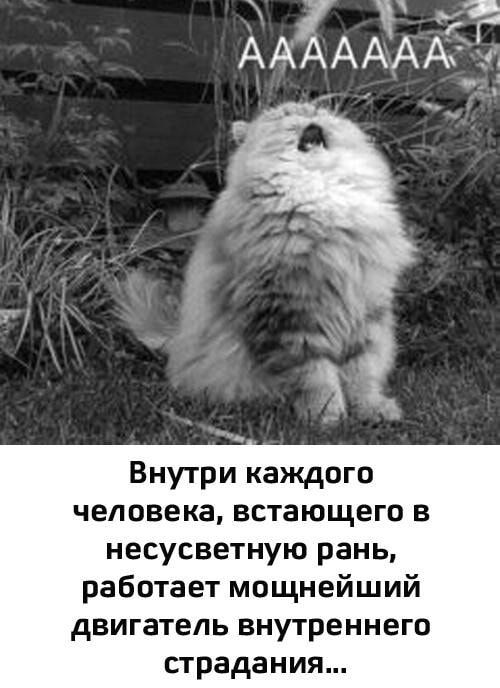 AAAAAAA
Внутри каждого человека, встающего в несуществную рану, работает мощнейший двигатель внутреннего страдания...