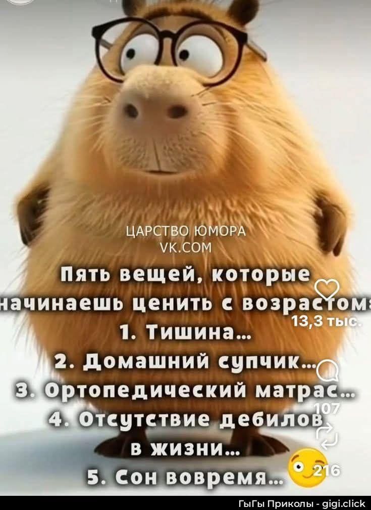 ЦАРСТВО ЮМОРА
VK.COM
Пять вещей, которые начинаешь ценить с возрастом
1. Тишина...
2. Домашний супчик...
3. Ортопедический матрас...
4. Отсутствие дебилов в жизни...
5. Сон вовремя...