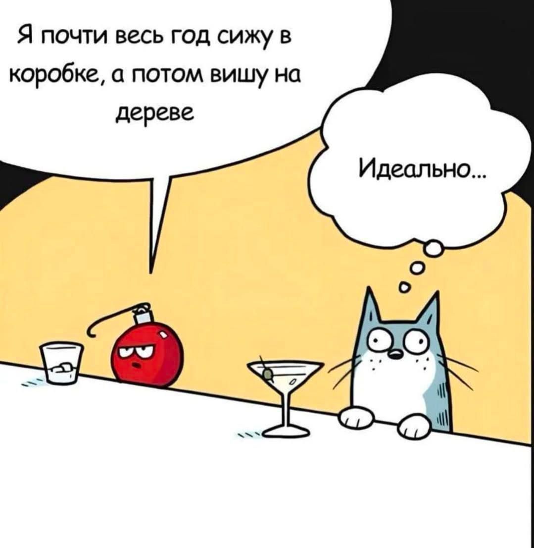 Я почти весь год сижу в коробке, а потом вишу на дереве