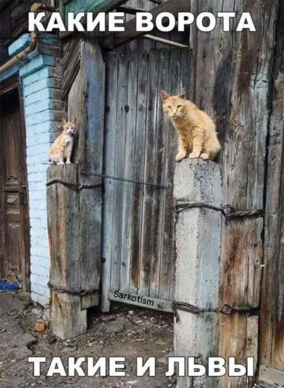 КАКИЕ ВОРОТА ТАКИЕ И ЛЬВЫ
