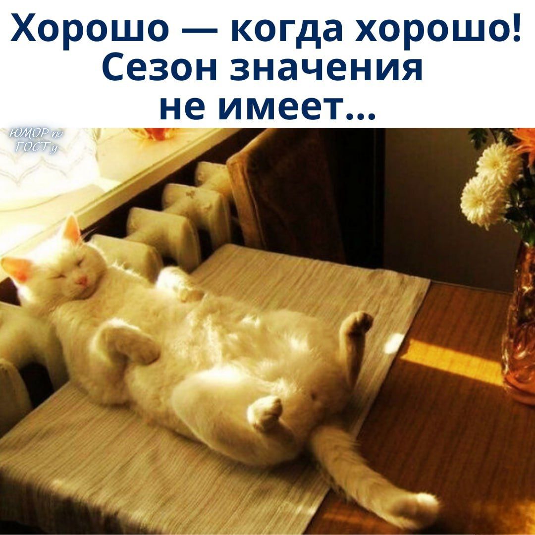 Хорошо — когда хорошо! Сезон значения не имеет...