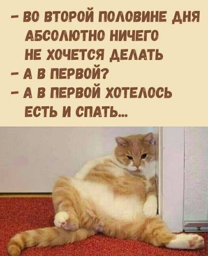 - во второй половине дня абсолютно ничего не хочется делать
- а в первой?
- а в первой хотелось есть и спать...