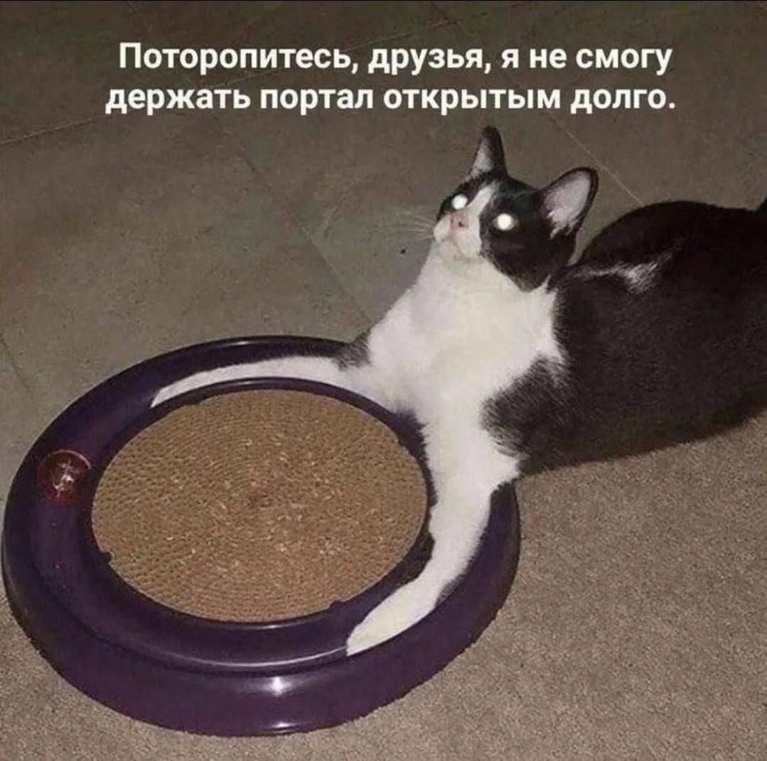 Поторопитесь, друзья, я не смогу держать портал открытым долго.