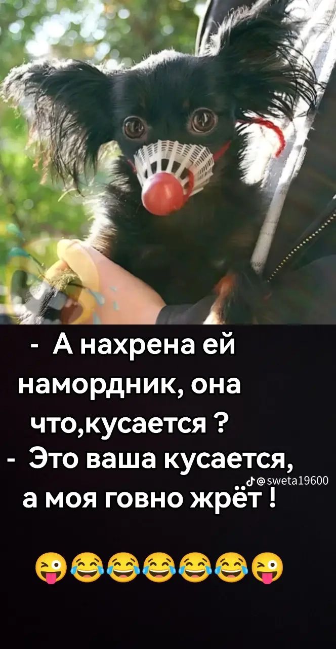 - А нахрена ей намордник, она что, кусается? - Это ваша кусается, а моя говно жрёт! 😜😆😜