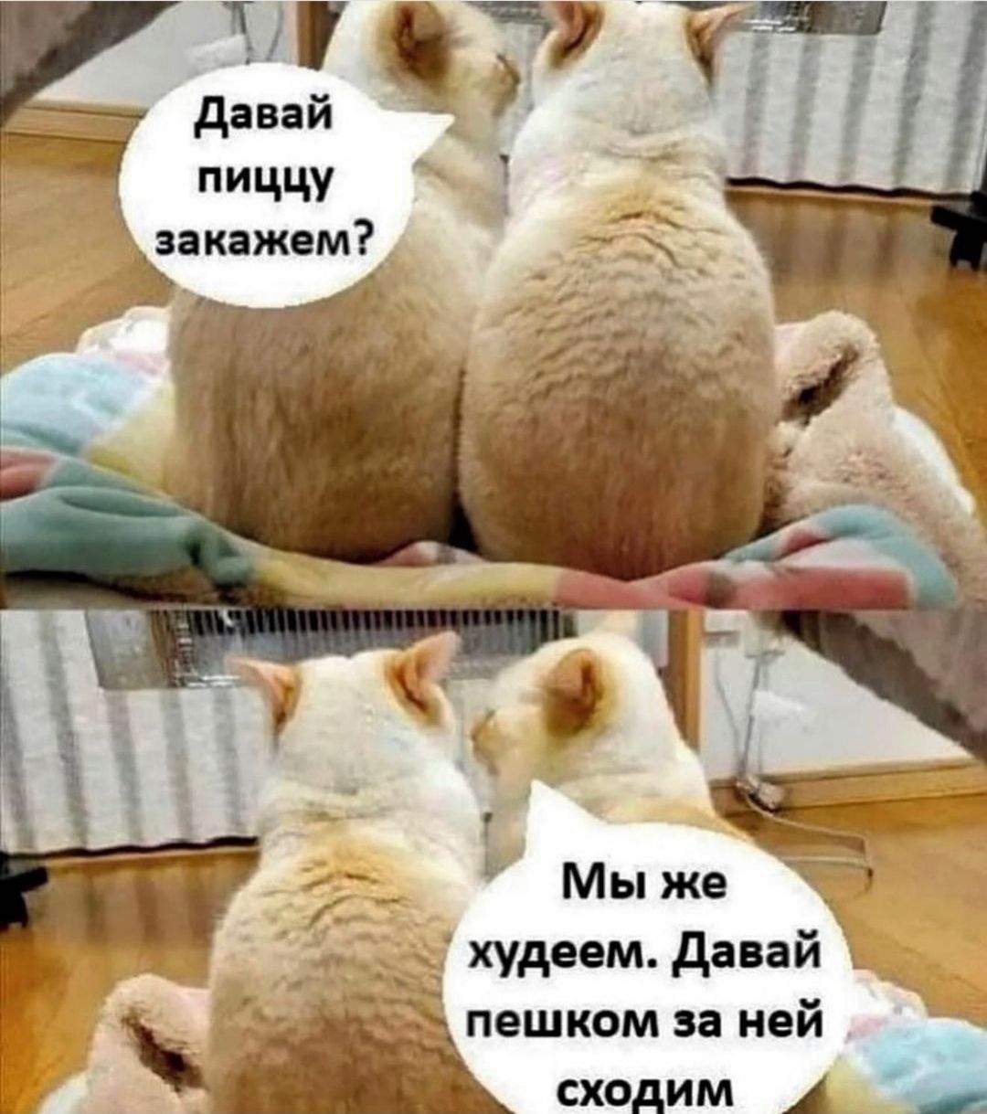 Давай пищцу закажем? Мы же худеем. Давай пешком за ней сходим