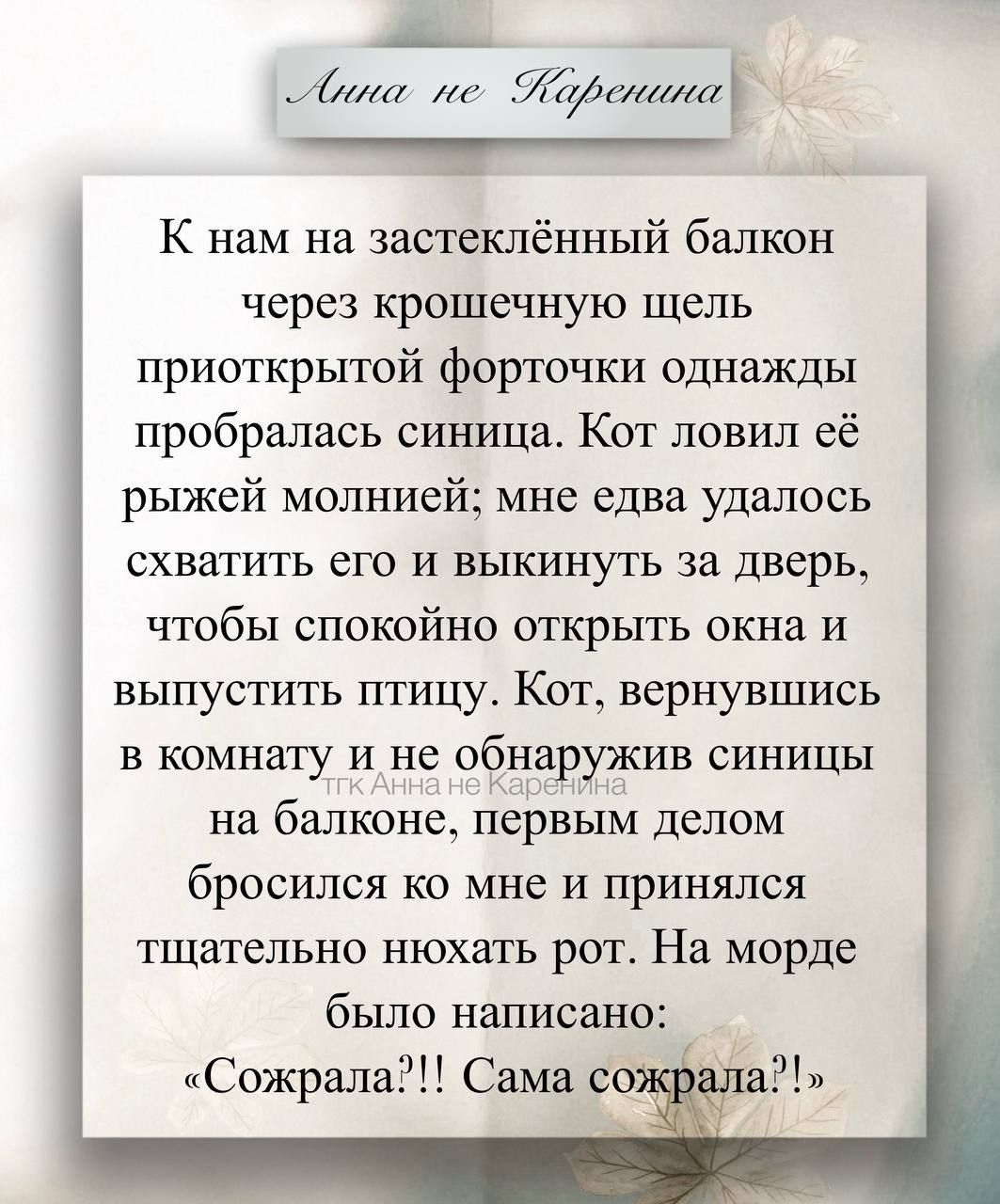Анна не Каренина
К нам на застеклённый балкон через крошечную щель приоткрытой форточки однажды пробралась синица. Кот ловил её рыжей молнией; мне едва удалось схватить его и выкнуть за дверь, чтобы спокойно открыть окно и выпустить птицу. Кот, вернувшись в комнату и не обнаружив синьицу на балконе, первым делом бросился ко мне и принялся тщательно