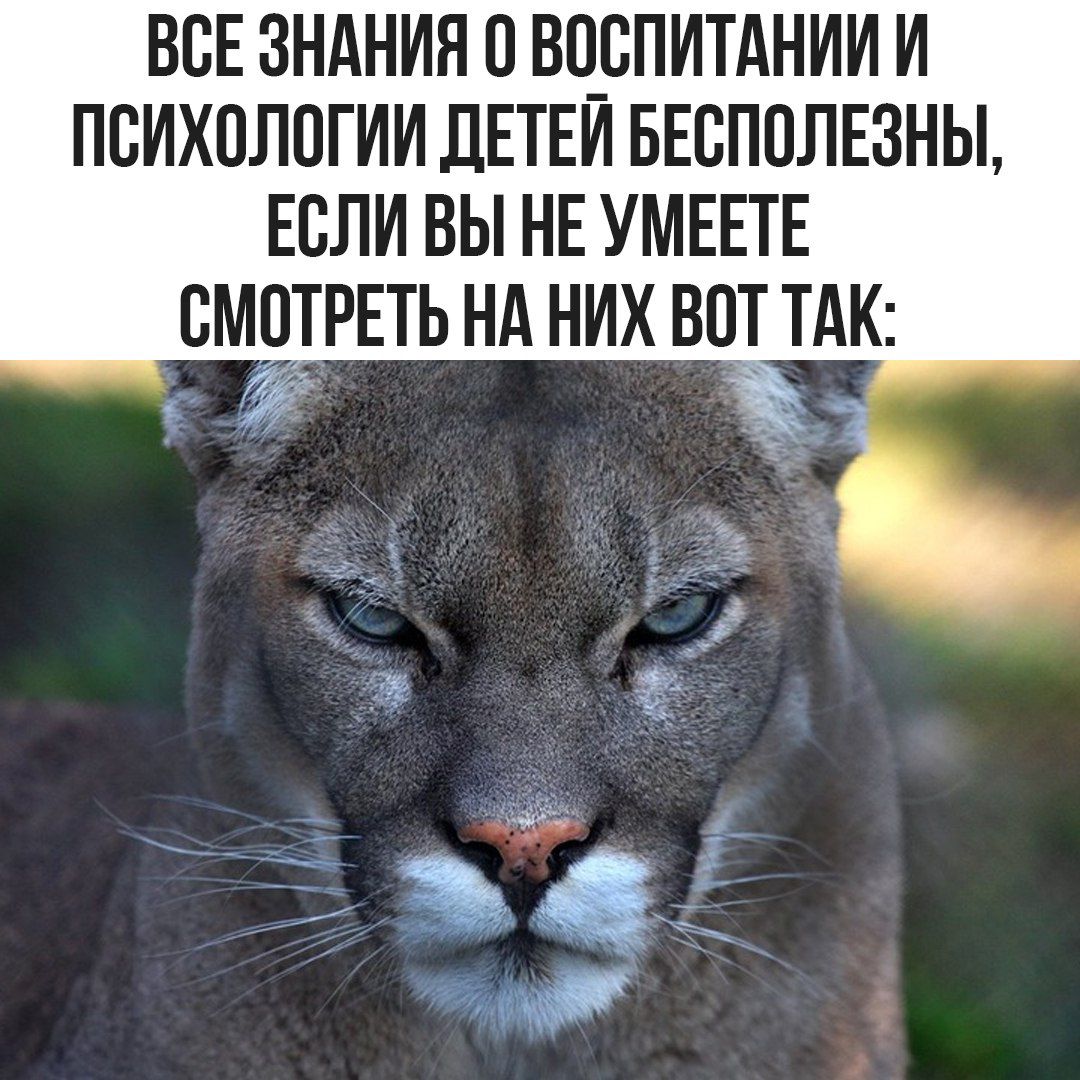ВСЕ ЗНАНИЯ О ВОСПИТАНИИ И ПСИХОЛОГИИ ДЕТЕЙ БЕСПОЛЕЗНЫ, ЕСЛИ ВЫ НЕ УМЕЕТЕ СМОТРЕТЬ НА НИХ ВОТ ТАК: