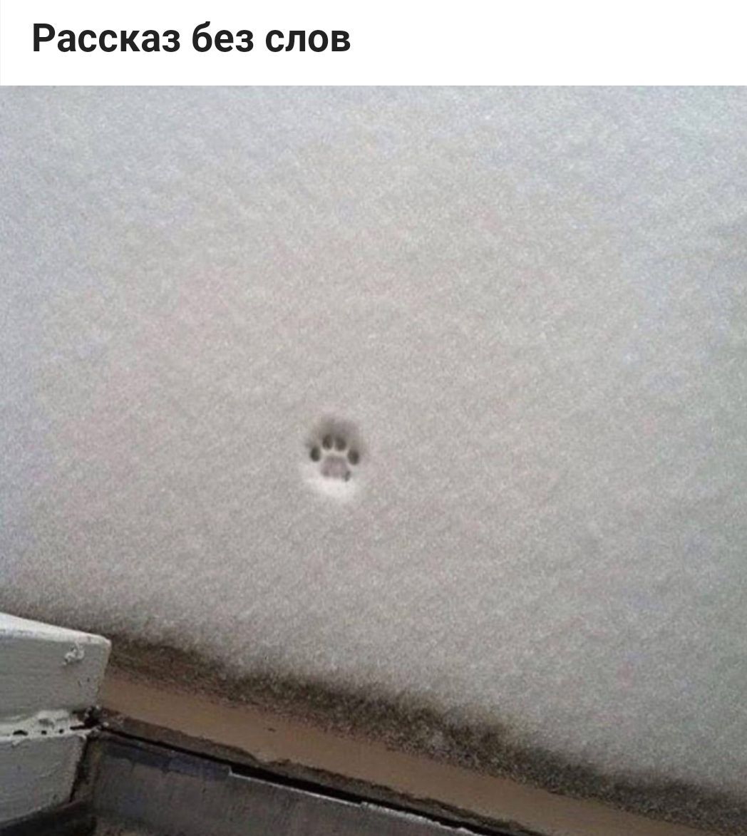 Рассказ без слов