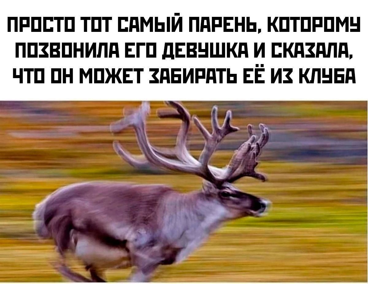 ПРОСТО ТОТ САМЫЙ ПАРЕНЬ, КОТОРОМУ ПОЗВОНИЛА ЕГО ДЕВУШКА И СКАЗАЛА, ЧТО ОН МОЖЕТ ЗАБИРАТЬ ЕЁ ИЗ КЛУБА