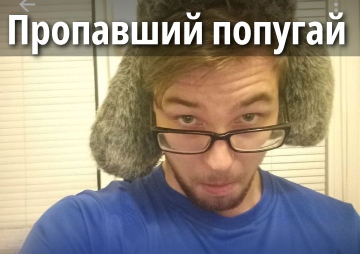 Пропавший попугай