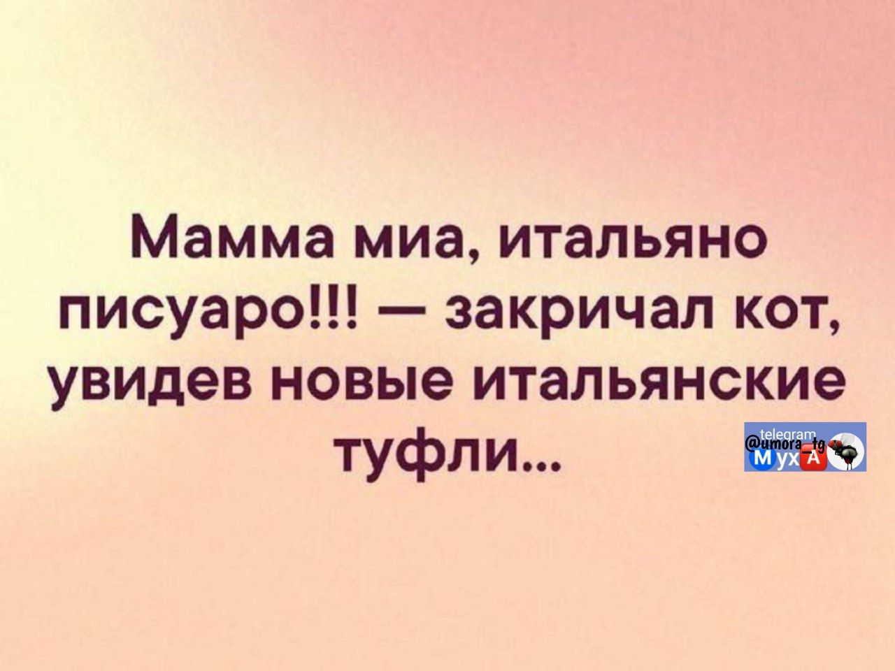 Мамма моя, итальяняно пишаруо!!! — закричал кот, увидев новые итальянские туфли...