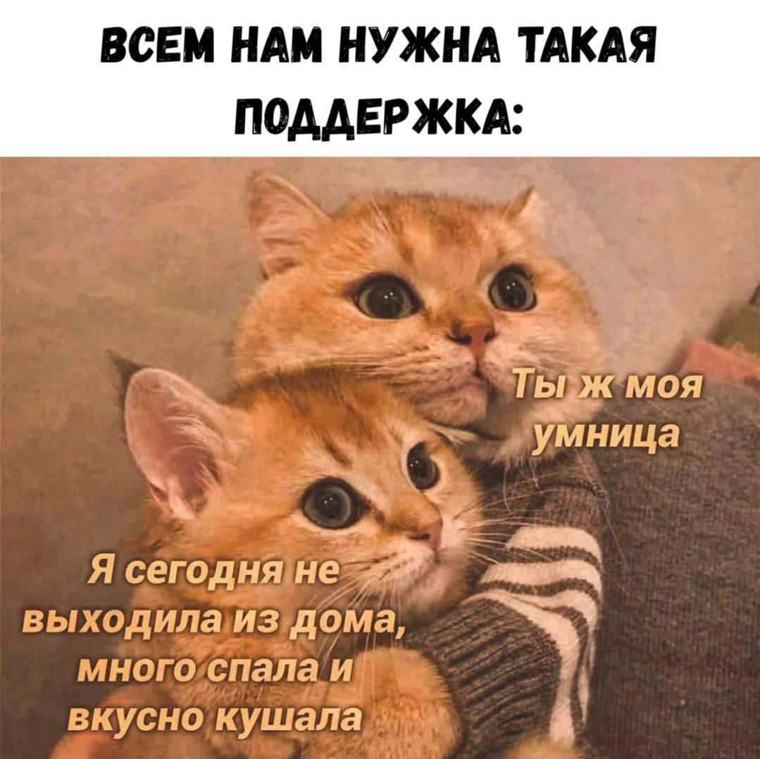 ВСЕМ НАМ НУЖНА ТАКАЯ ПОДДЕРЖКА:
ТЫ ж моя умница
Я сегодня не выходила из дома, много спала и вкусно кушала