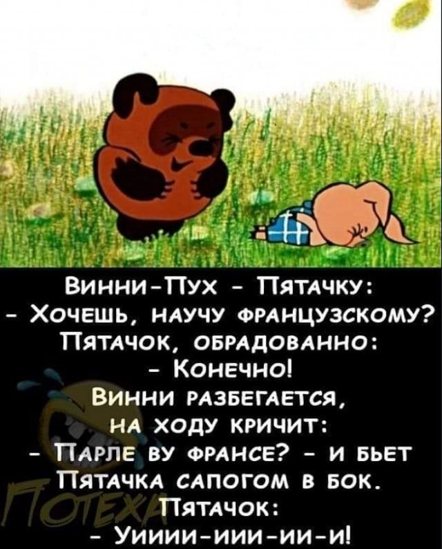 Винни-Пух — Пятачку: 
- Хочешь, научу французскому? 
Пятачок, обрадованно: - Конечно! 
Винни разбегается, на ходу кричит: - Парле́ вы, франсе? - и бьет Пятачка сапогом в бок. 
Пятачок: - Уи-и-и-и-и!