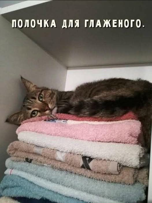 ПОЛОЧКА ДЛЯ ГЛАЖЕНОГО.