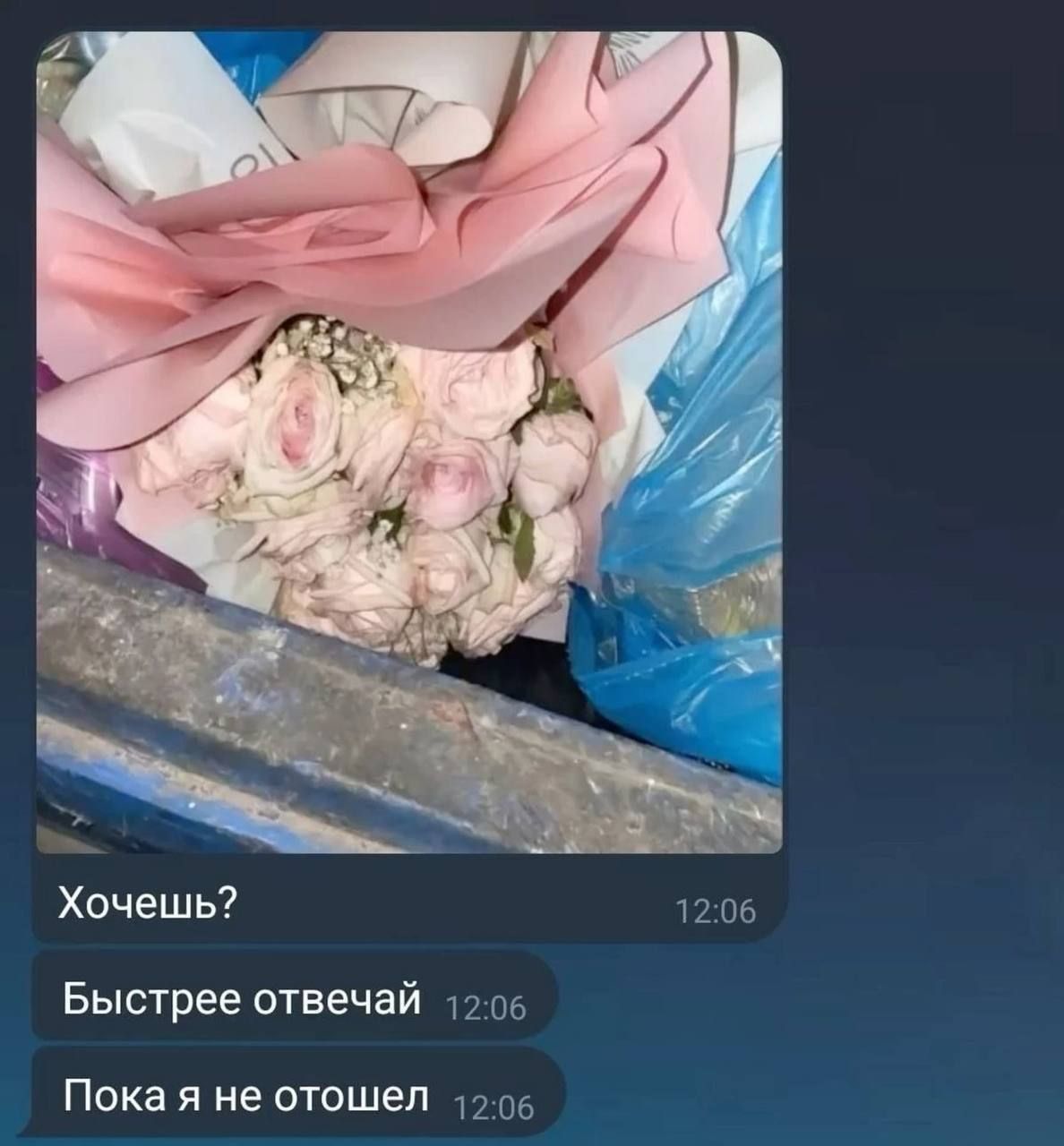 Хочешь?
Быстрее отвечай
Пока я не отошел