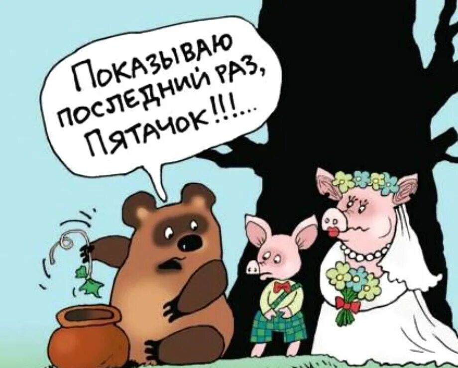 Показываю последний раз, Пятачок!!!!