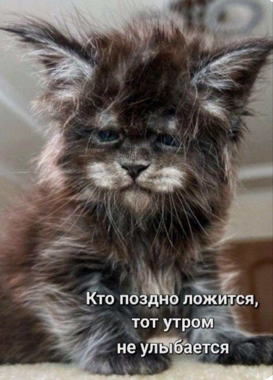 Кто позже ложится, тот утром не улыбается