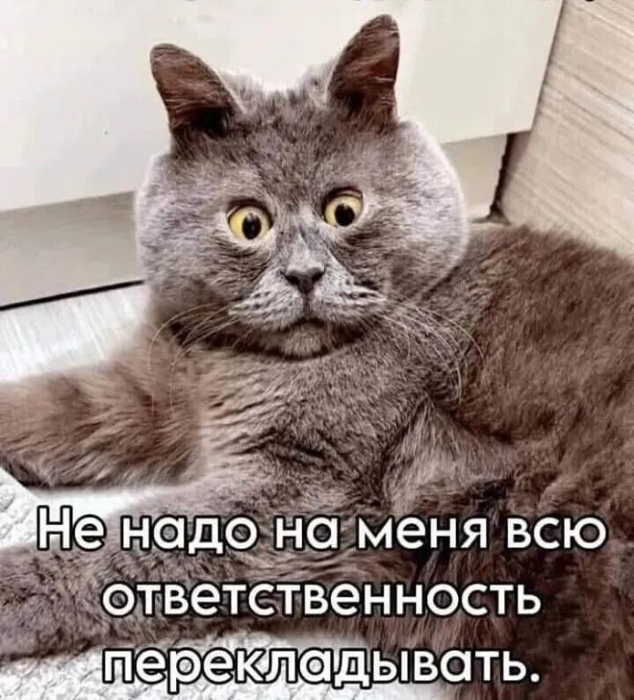 Не надо на меня всю ответственность перекладывать.