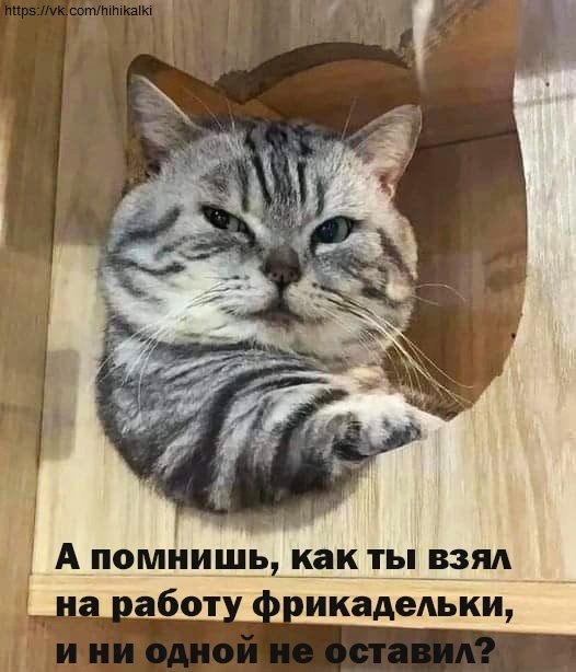 А помнишь, как ты взял на работу фрикадельки, и ни одной не оставил?
