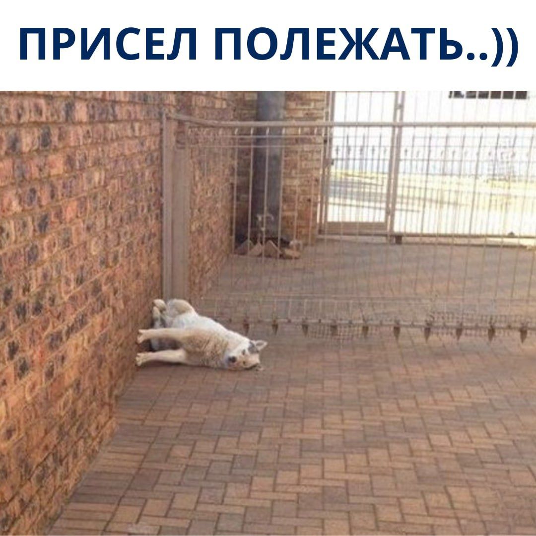 ПРИСЕЛ ПОЛЕЖАТЬ..))