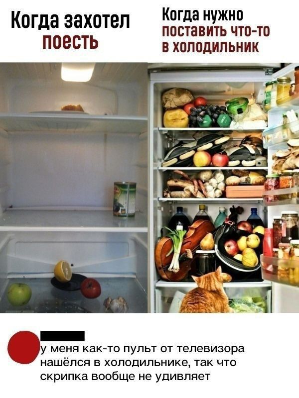 Когда захотел поесть
Когда нужно поставить что-то в холодильник
У меня как-то пульт от телевизора нашёлся в холодильнике, так что скрипка вообще не удивляет