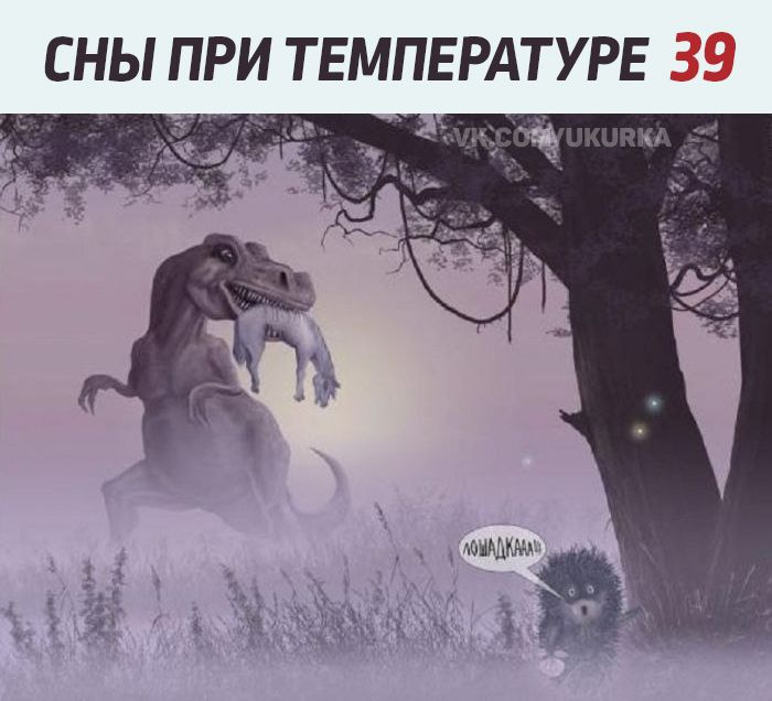 СНЫ ПРИ ТЕМПЕРАТУРЕ 39
МОЛАКАДАЙ