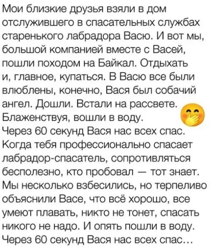 Мои близкие друзья взяли в дом отслужившего в спасательных службах старенького лабрадора Васю. И вот мы, большой компанией вместе с Васей, пошли походом на Байкал. Отдыхать и, главное, купаться. В Васю все были влюблены, конечно, Вася был собачий ангел. Дошли. Встали на рассвете. Блаженствую, вошли в воду. Через 60 секунд Вася нас всех спас. Когда 