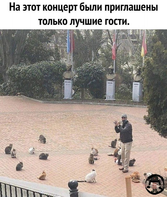 На этот концерт были приглашены только лучшие гости.