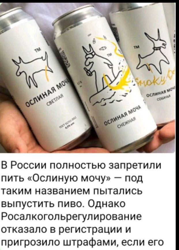 В России полностью запретили пить «Ослиную мочу» — под таким названием пытались выпустить пиво. Однако Росалкогольрегулирование отказало в регистрации и пригрозило штрафами, если его...