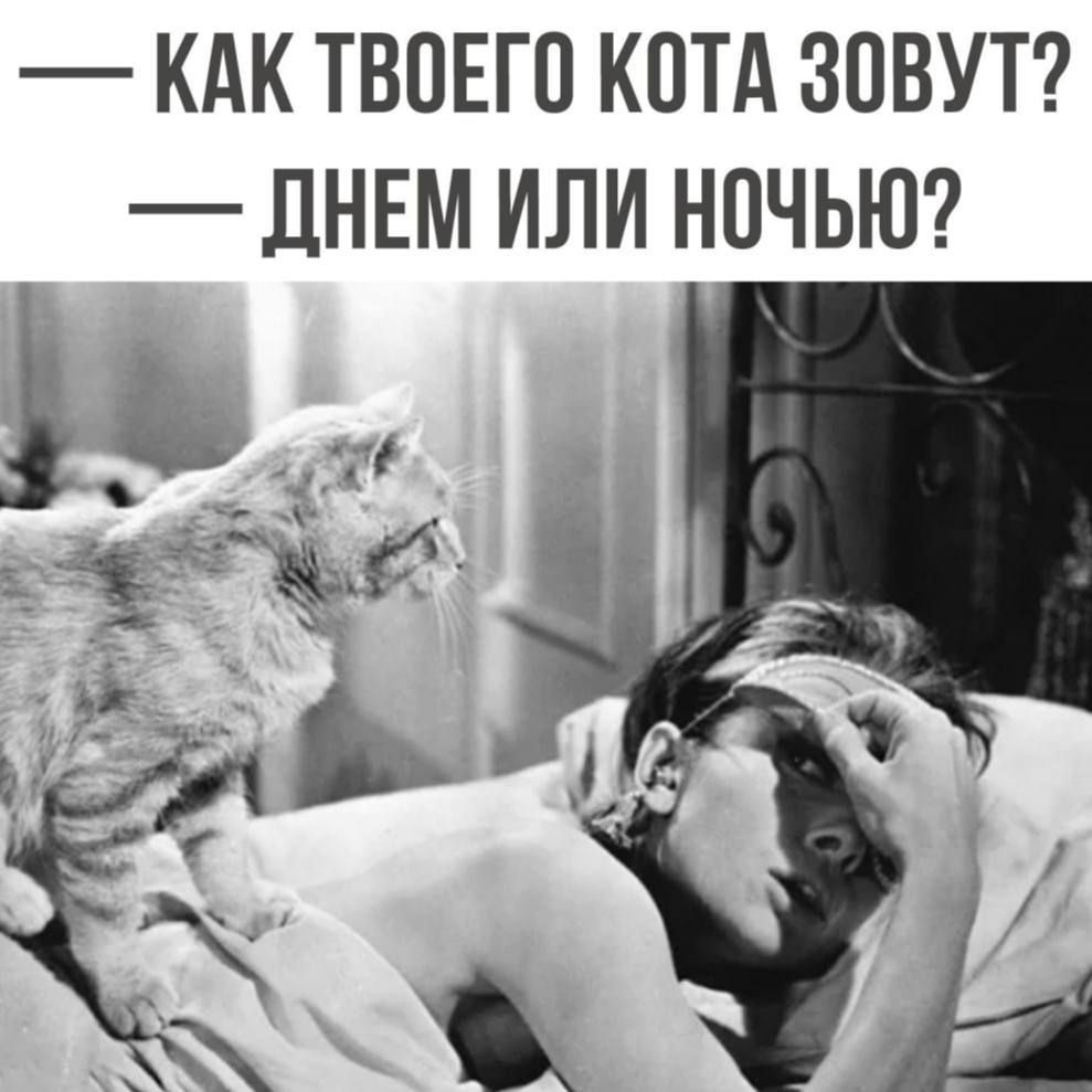 — Как твоего кота зовут? — Днём или ночью?